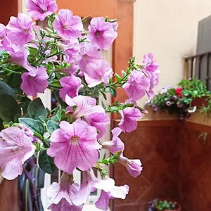 La Reina Apartamento Córdoba